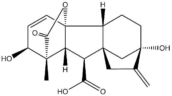 赤霉素GIBBERELLIC ACID，居然有這么神奇？